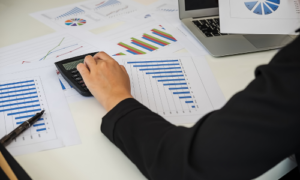 CAPTACION DEL MERCADO OBJETIVO 2