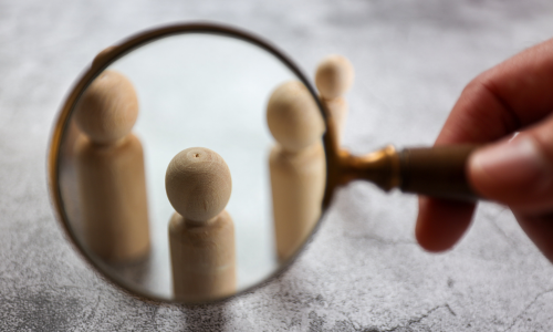 CAPTACION DEL MERCADO OBJETIVO