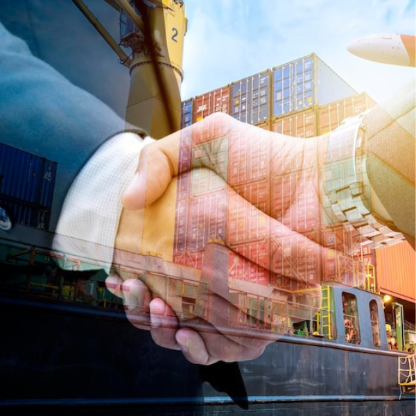 Experiencia y conocimiento del mercado internacional 🌎